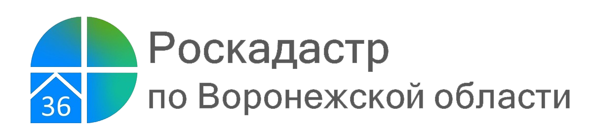 Все лесничества Воронежской области внесены в ЕГРН.