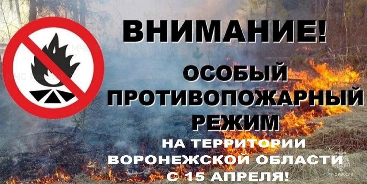 На территории Воронежской области с 15 апреля введен особый противопожарный режим!.