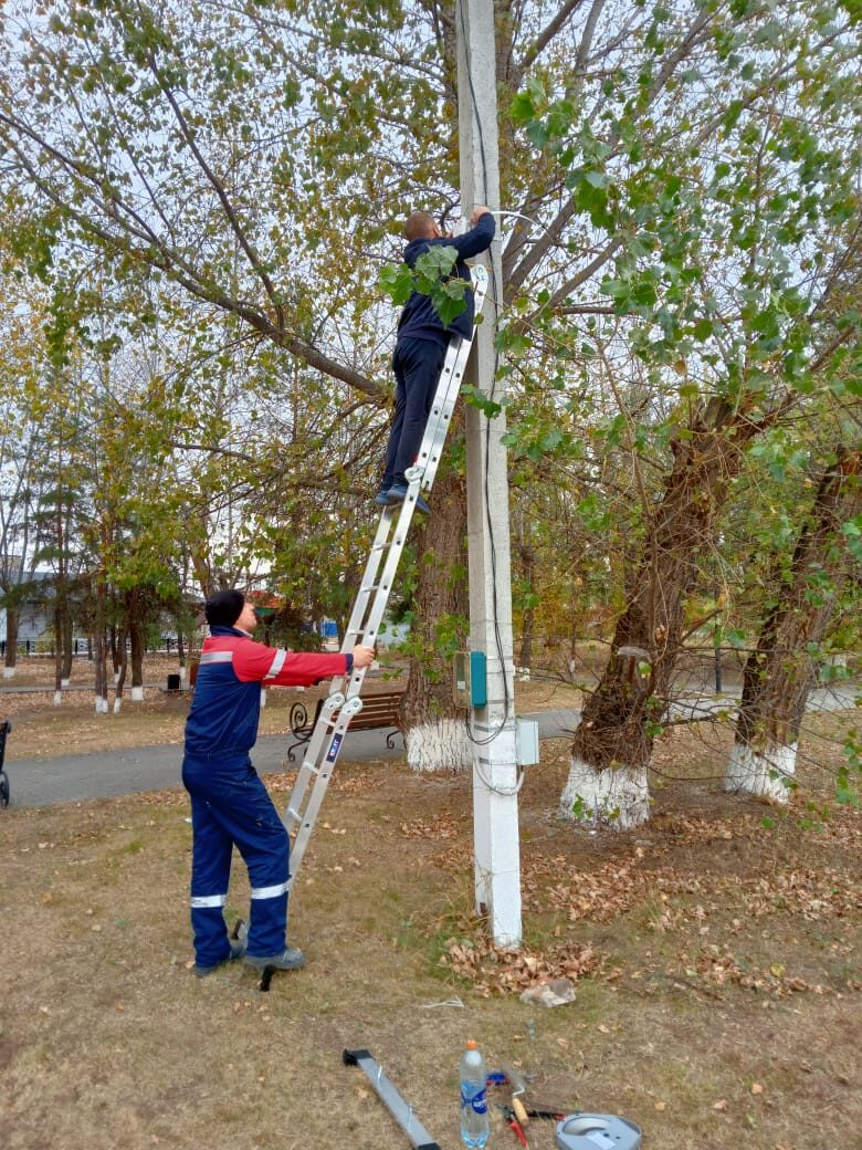 Проект &quot;Фокус&quot;.