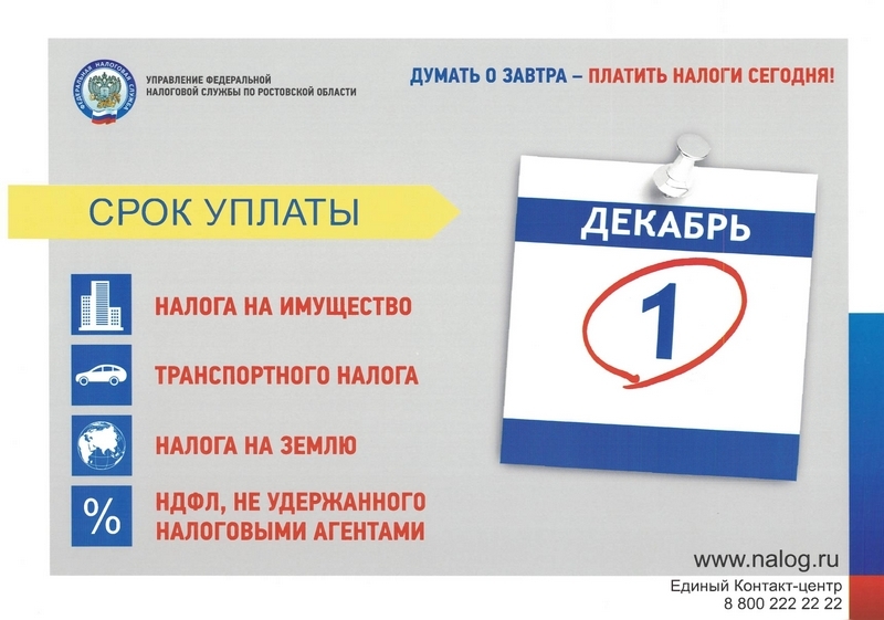 Срок уплаты налогов до 1 декабря.