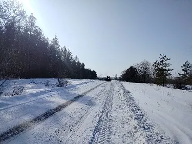 И снова чистим снег!. И снова чистим снег!.