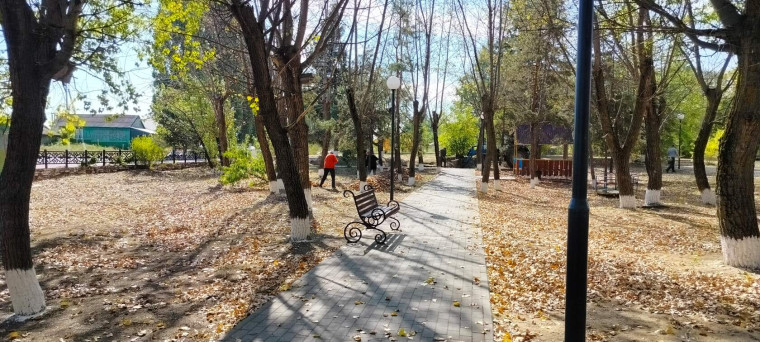 Осень – пора субботников!. Осень – пора субботников!.